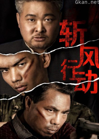 斩风行动